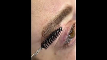 Perfect Eyebrow Permanent Makeup 🔥 PMU Master @ElaheMaster | Microblading & Powder Brows Tutorial