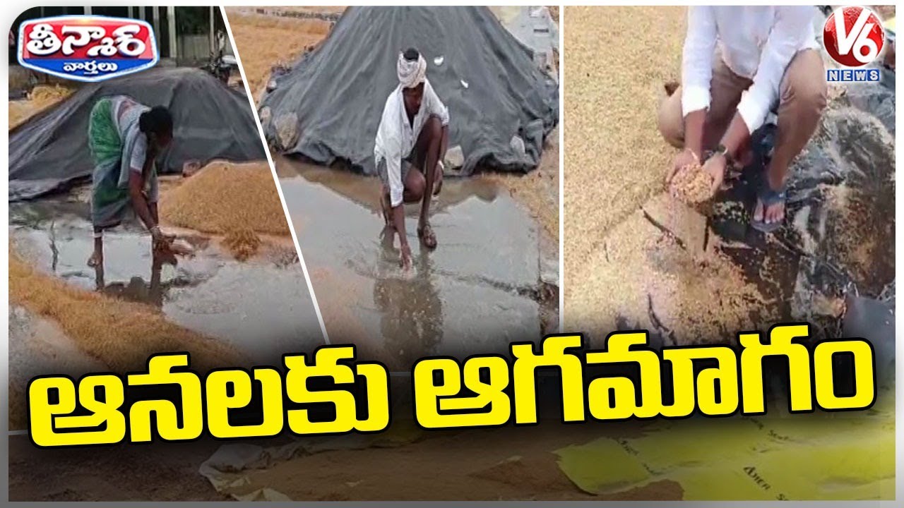 Crop Damage Due To Unseasonal Rains, Farmers In Distress | Jagtial | V6 ...