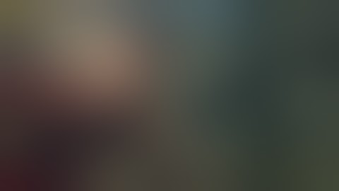 Prototype 2 - Operation Flytrap