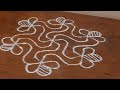 tricky kolam made easy for beginners|| daily kolam|| kolam using 11 * 6 interlaced dots ||
