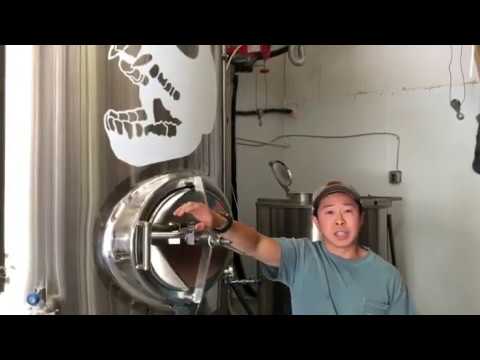 Lowcountry Forever Ghost Monkey Brewery Story Behind The Name Hops In The Spotlight 