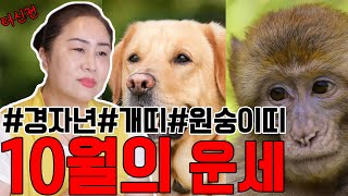 10월 운세 원숭이띠, 개띠~시간~