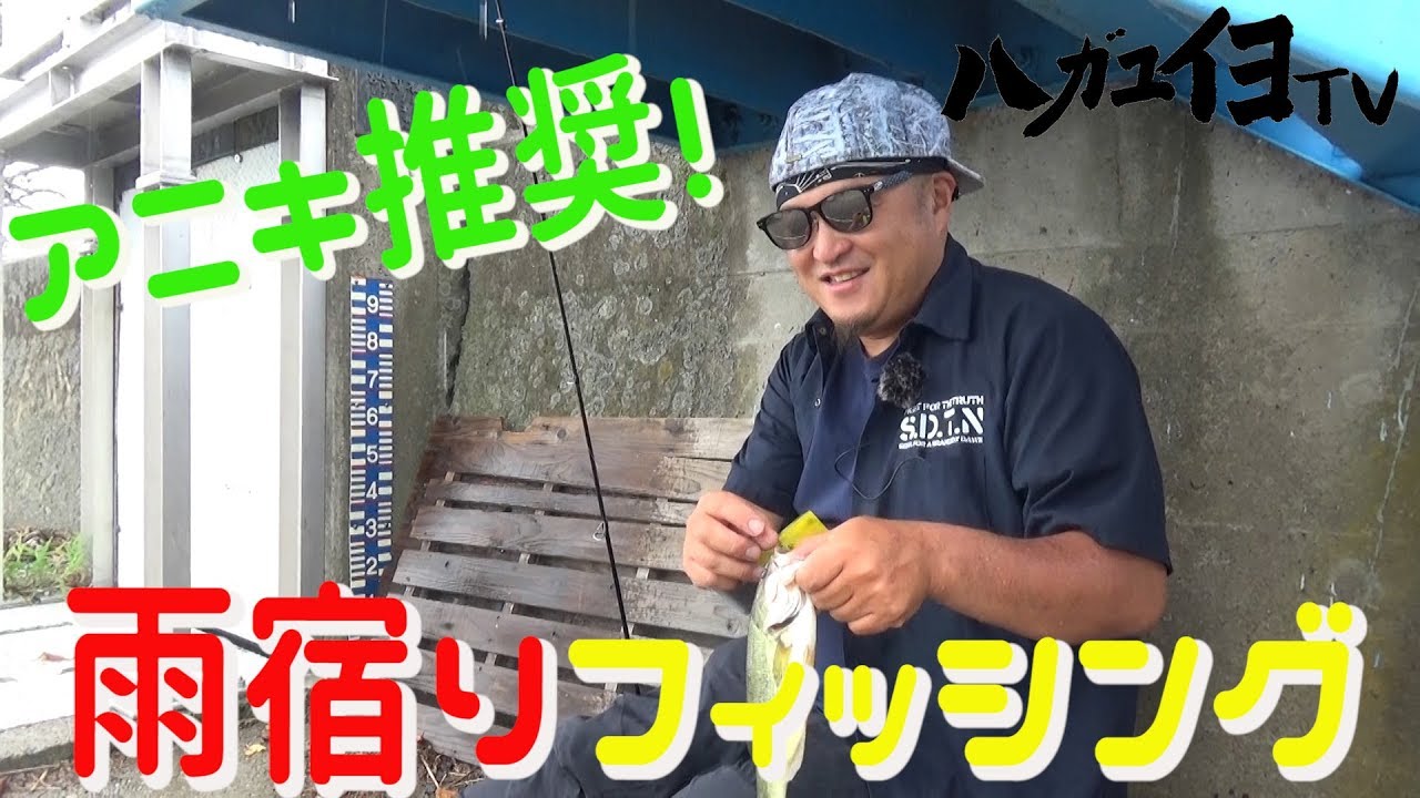 ハガユイヨtv 0021 アニキ推奨雨宿りフィッシング In霞ケ浦 Youtube