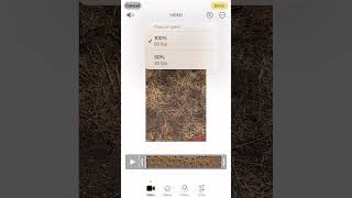 iOS 18 Video Playback Control!