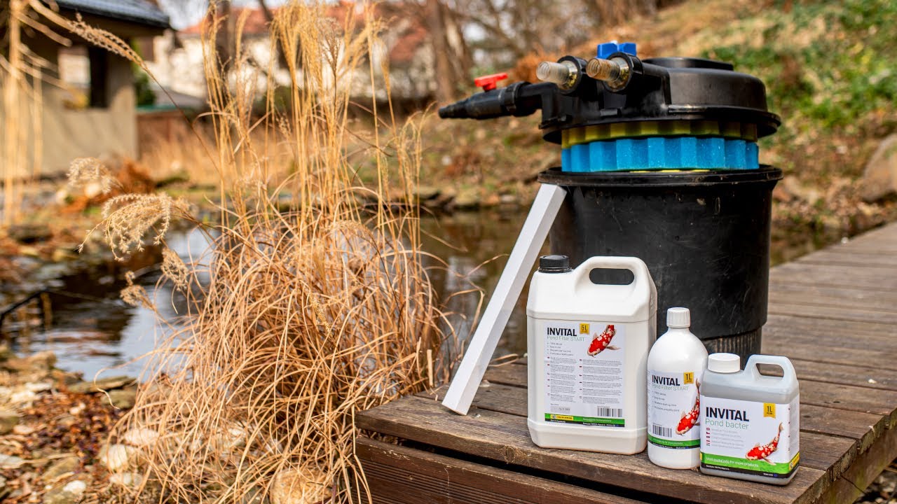 Jak przygotować oczko wodne przed sezonem? | INVITAL