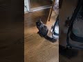 今日のあいさつ