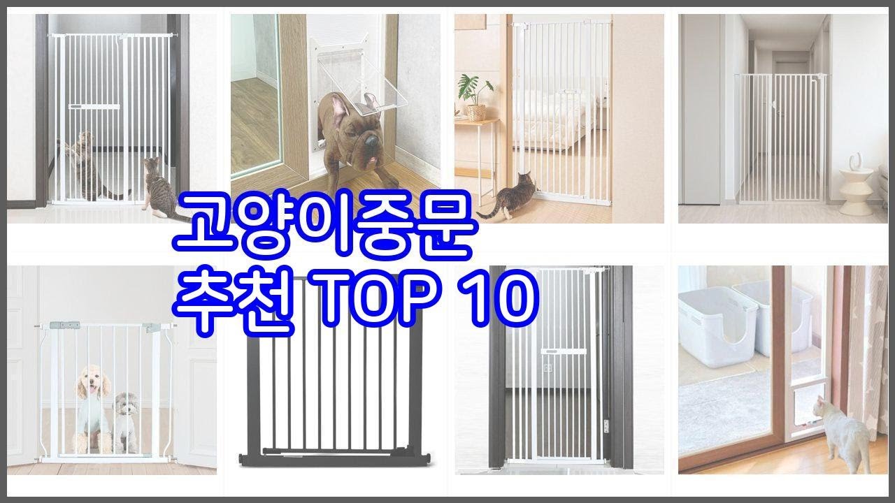 고양이중문 추천 선택의 기준을 제시합니다 가격, 품질, 판매량으로 선별한 상품 10가지