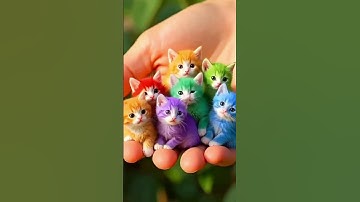 Cute Cats | Ai Cat Video | Mini cats in hand | Funny Video | Kids Video #viralshorts @GhazalaVoice