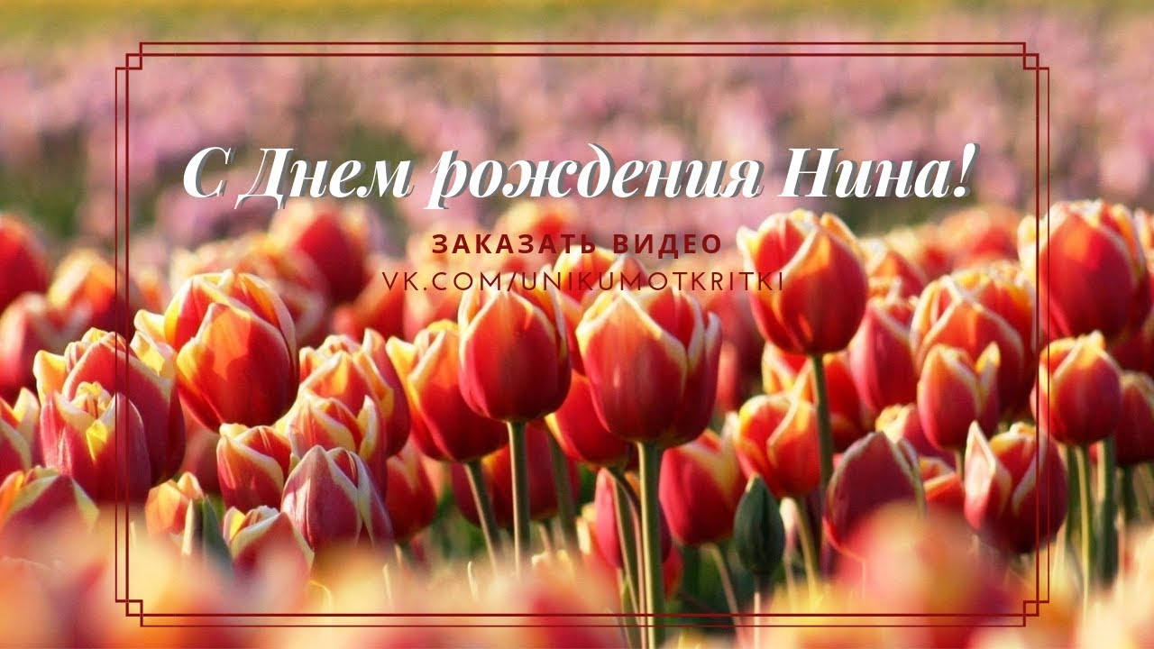 Видео Поздравление С Днем Нина Видео Поздравление С Днем Нина