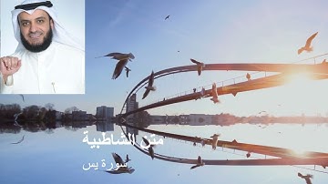 متن الشاطبية سورة يس