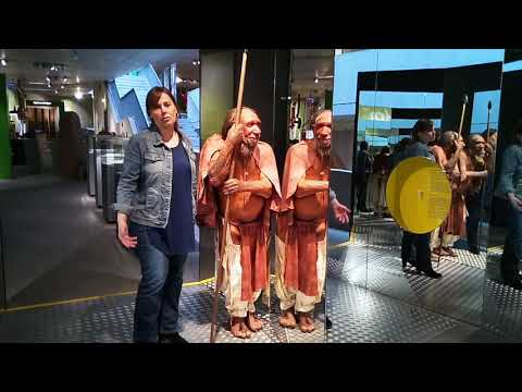 Video: Wissenschaftler Haben Die Genetische Verbindung Zwischen Homo Sapiens Und Neandertaler - Alternative Ansicht