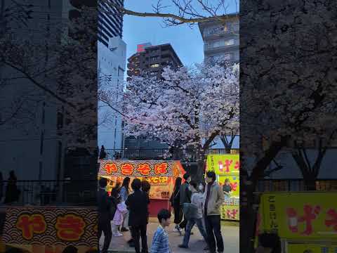 A look at the food stalls and cherry blossoms of Tenmabashi #osaka #japan #桜 #満開 #花見