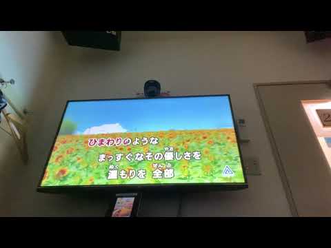 【毎日投稿】ひまわりの約束歌ってみた【12日目】