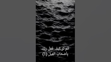 سوره الفيل بصوت الشيخ ياسر الدوسري🖤🌼