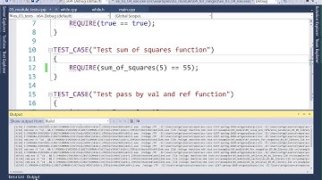 C++ While loop with Catch test case
