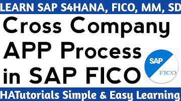 Cross Company Code Automatic Payment in SAPFICO || Cross Company Code APP