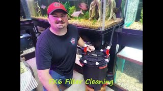 How to clean and maintain a Fluval FX6 Filter on my Oscar Aquarium
