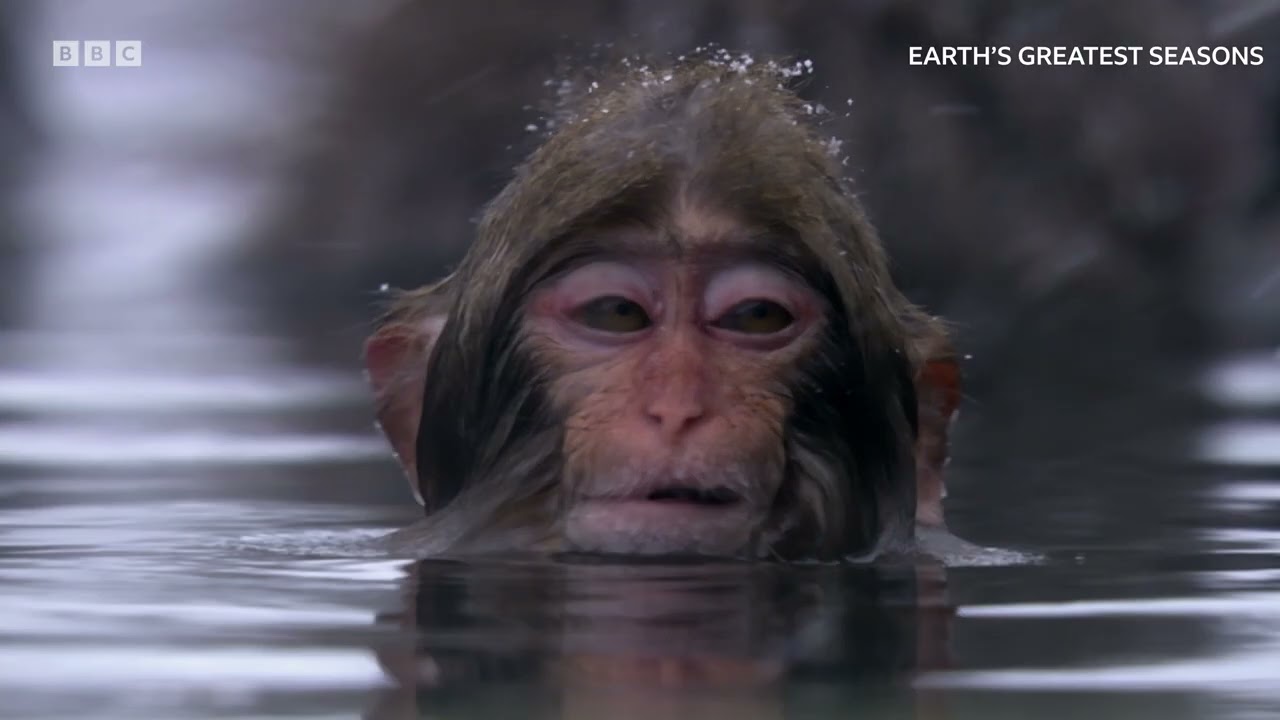 Earth's Great Seasons | BBC Select