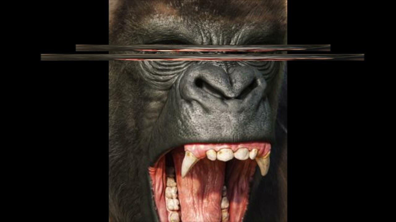 Westside Gunn x Rome Streetz Type Beat - "Jungle"