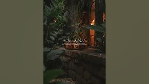 قران #قران قران كريم #قران كريم رمضان #رمضان quran #quran رمضان يجمعنا #رمضان يجمعنا تلاوة #تلاوة 4