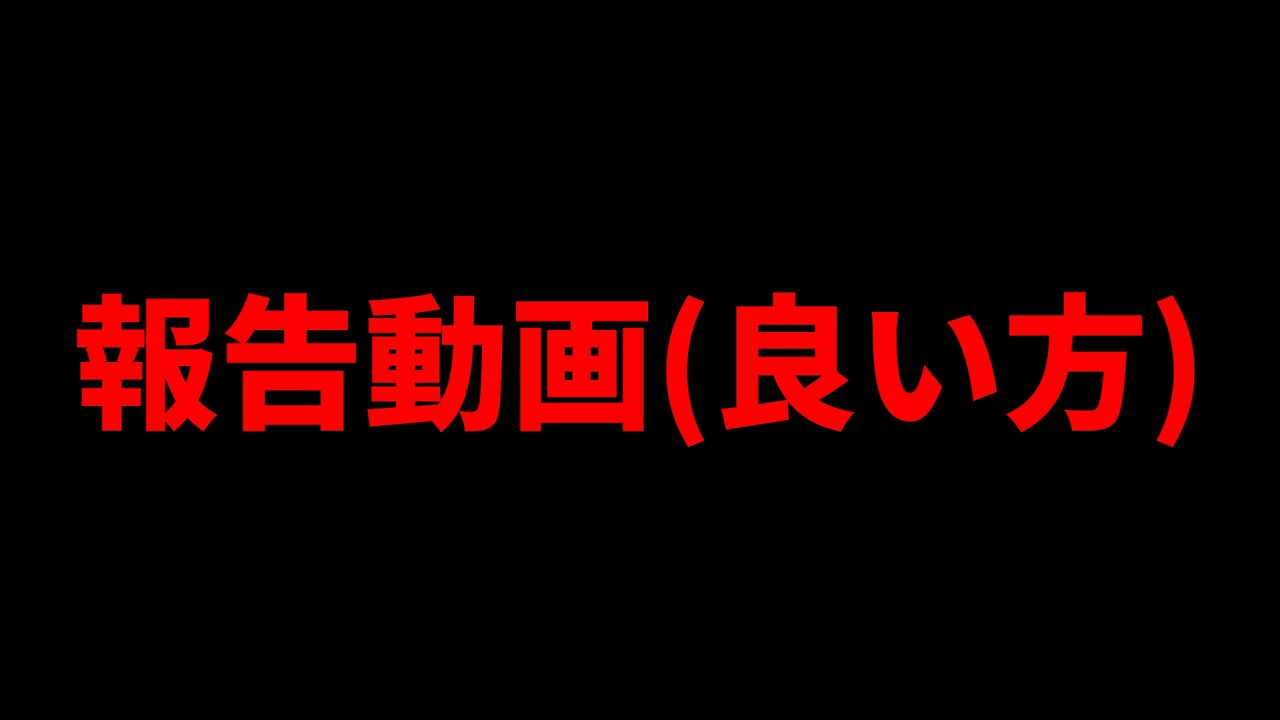 報告動画(良い方)