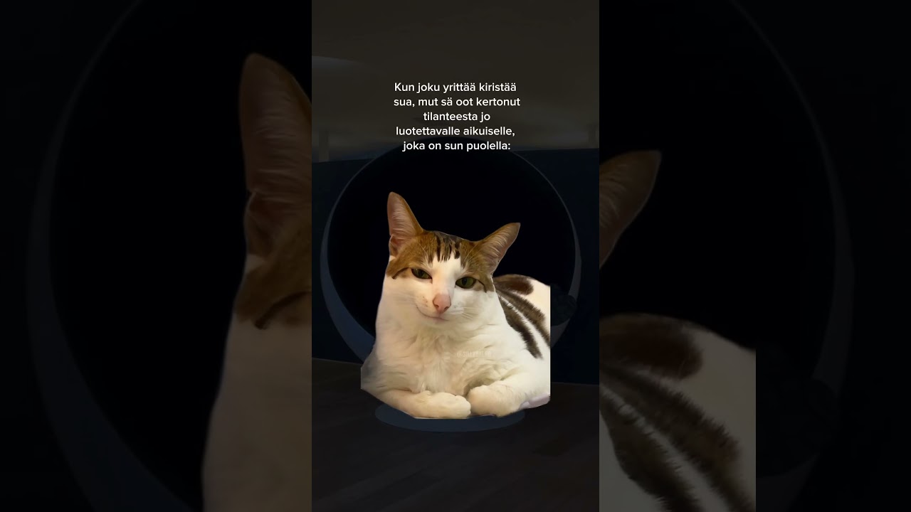 Hankalista tilanteista kannattaa aina kertoa luotettavalle aikuiselle. ❤️ 