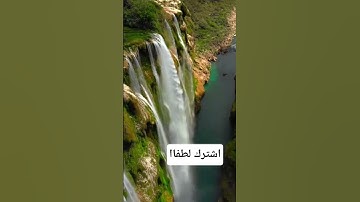 سورة التكوير محمد الحيدان علامة يوم القيامة #اكسبلور