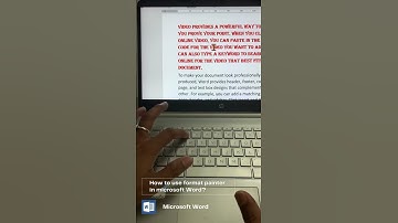 How to use format painter  in Microsoft Word?