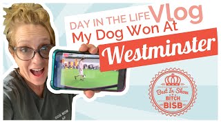 Day in The Life: My Dog Won at Westminster VLOG