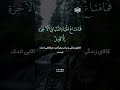 تلاوت بسیار تأثیرگذار ای مسلمانان چرا برای جهاد در راه خدا بر نمی خیزید تلاوت بسیار تأثیرگذار ای مسلمانان چرا برای جهاد در راه خدا بر نمی خیزید