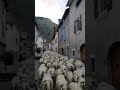 Dans les rues de Laruns, fin de saison en haute montagne !