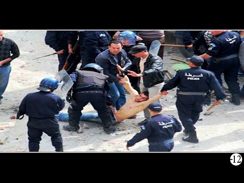   3 خفافيش الليل   