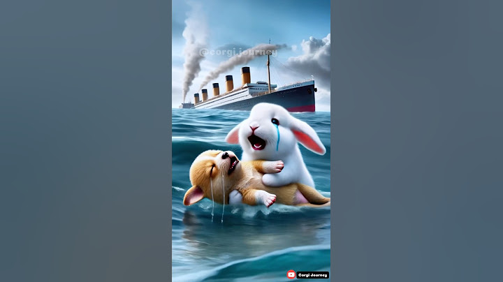 Titanic 4: Corgi saves the Rabbit stuck Underwater #cutedog #titanic #storyshorts