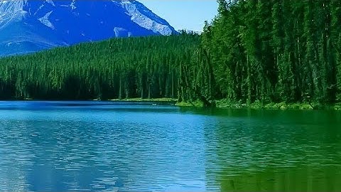 (سورة الحديد) كاملة للقارئ شريف مصطفى