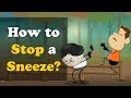 How to Stop a Sneeze?   more videos | #aumsum #kids #science #education #children