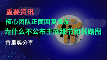 重要资讯-核心团队正面回复派友，为什么不公布主网细节和线路图？
