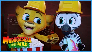 A Trip to the Cinema 🎬 | DreamWorks Madagascar by DreamWorks Madagascar 23,488 views 4 weeks ago 11 minutes, 22 seconds