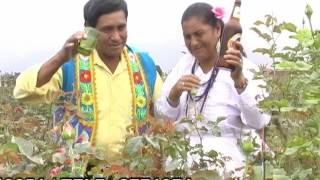 Martha Diaz - Ay Rosita