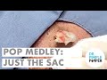 Pop Medley: Just the Sac
