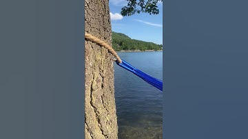 How to tie a hammock to a tree 🌳🌲 #summer #hammock #holiday #fypシ #foryou #viral #shorts