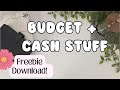 Budget  cash stuff with me  new freebie   budgeting for beginners 2024