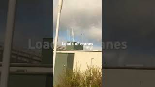 Loads Of Cranes On Trains