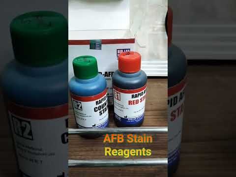 Sputum for Afb
