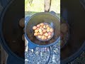 Утка по деревенски с картошкой