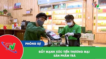 Đẩy mạnh  xúc tiến thương mại sản phẩm trà