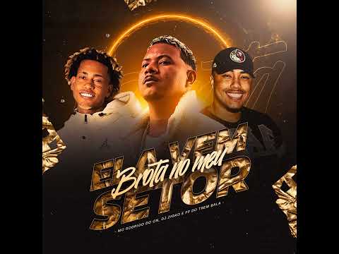 ELA VEM, BROTA NO MEU SETOR - MC RODRIGO DO CN E DJ ZIGÃO E FP DO TREM BALA