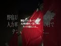 野宿場所に野生のライオン出現。これこそアフリカ旅です。 アフリカ縦断6000kmの旅 YouTubeで本編公開中!! #アフリカ縦断 #ガンプ鈴木 #旅