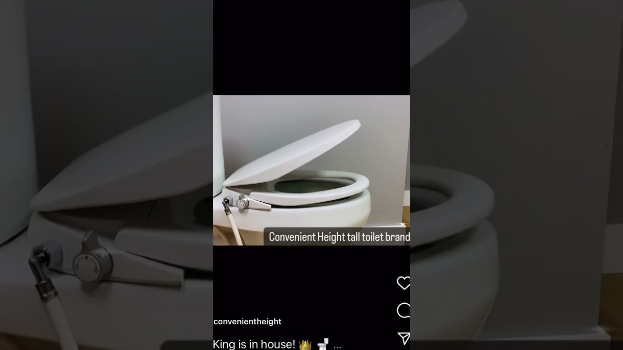 King is in house! 👑 🚽  Convenient Height Tall toilets rule the bathrooms . 