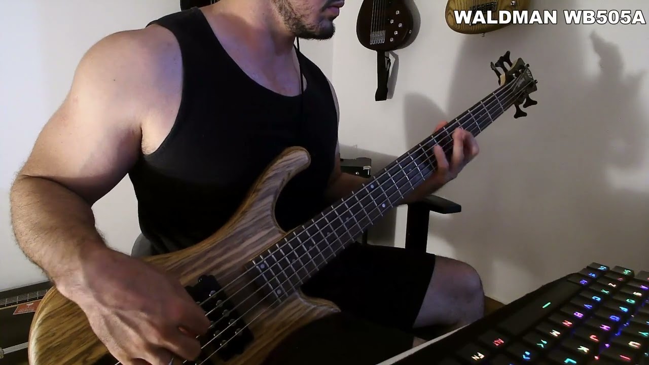 Comparativo Warwick RB e Waldman WB505A Double Buck