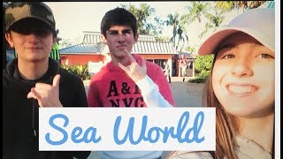 Vlog Priminhas Sea World Helena Assumpcao